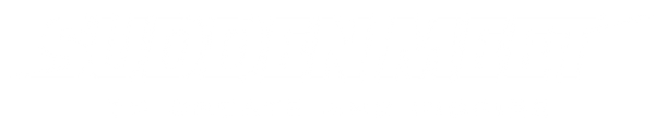 Sudden Meet